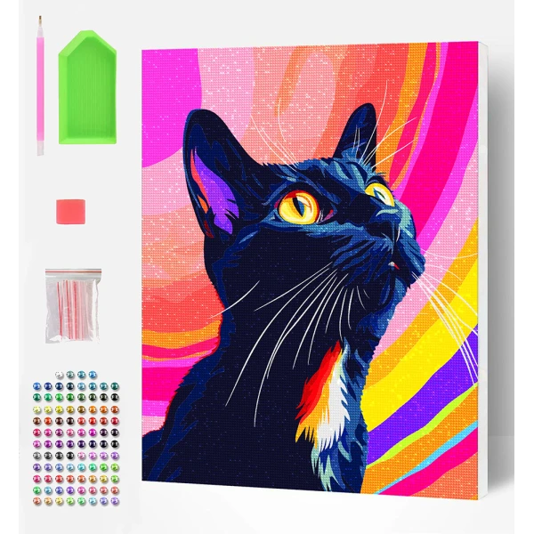 SPLAT PLANET ΣΕΤ DIAMOND PAINTING ΣΕ ΚΑΜΒΑ ΜΕ ΤΕΛΑΡΟ 30Χ40 εκ. BLACK CAT