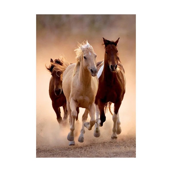 CLEMENTONI PUZZLE H.Q. HORSES 1000 pcs 