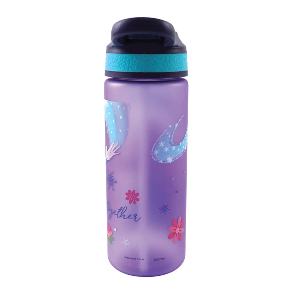 ΠΛΑΣΤΙΚΟ ΠΑΓΟΥΡΙ 600ml ΜΕ ΚΑΛΑΜΑΚΙ FROZEN