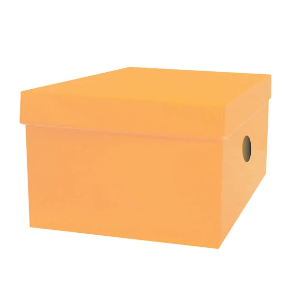 THE LITTLIES PAPER BOARD STORAGE BOX 33X24X18 cm - 6 COLOURS