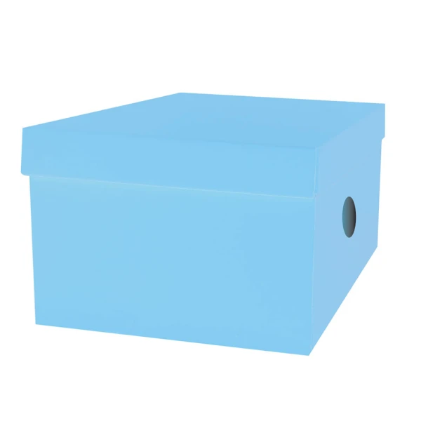 THE LITTLIES PAPER BOARD STORAGE BOX 33X24X18 cm - 6 COLOURS