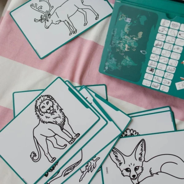 KIDYWOLF PAD ΖΩΓΡΑΦΙΚΗΣ ANIMALS AROUND THE WORLD
