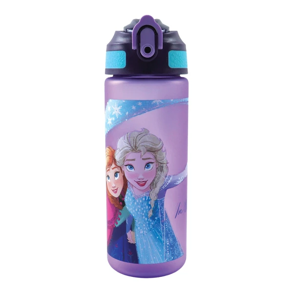 ΠΛΑΣΤΙΚΟ ΠΑΓΟΥΡΙ 600ml ΜΕ ΚΑΛΑΜΑΚΙ FROZEN