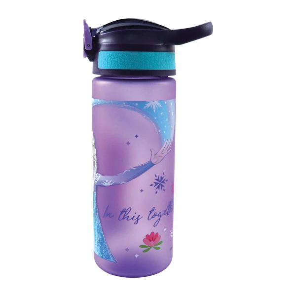 ΠΛΑΣΤΙΚΟ ΠΑΓΟΥΡΙ 600ml ΜΕ ΚΑΛΑΜΑΚΙ FROZEN
