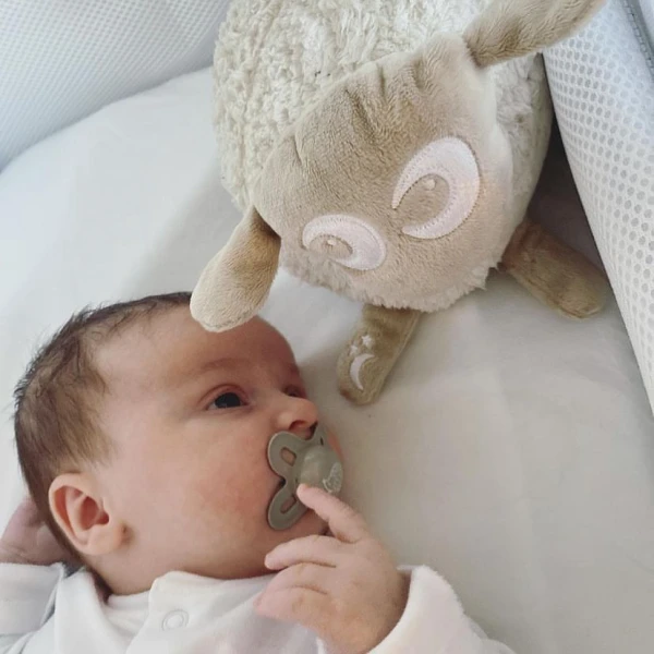EWAN THE SHEEP ΕΠΑΝΑΦΟΡΤΙΖΟΜΕΝΟ DELUXE ΜΠΕΖ NEW VERSION
