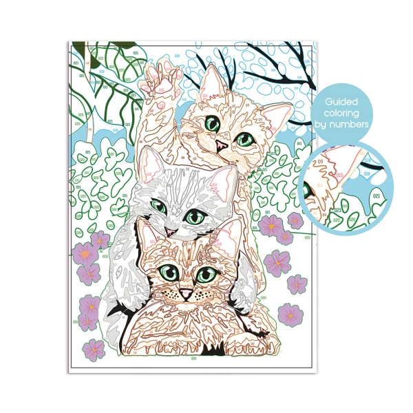 HAPPIHOBBI PAINT & FRAME PAINT BY NUMBERS FUNNY KITTIES