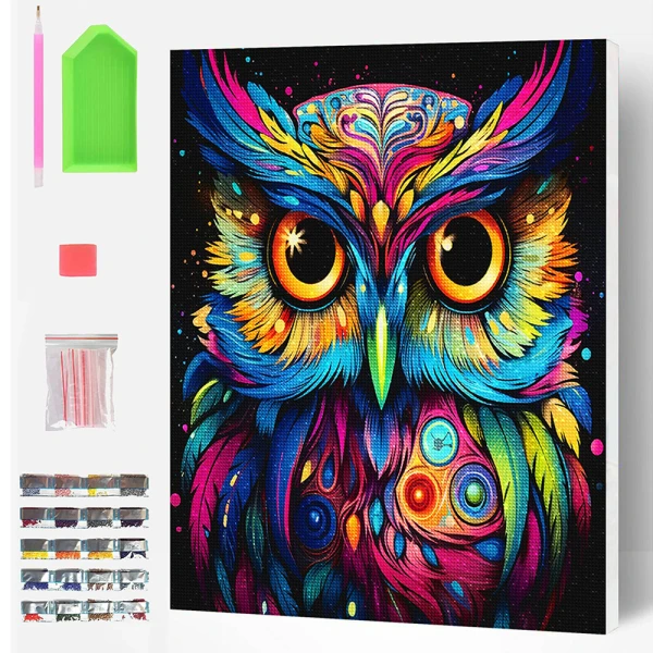 SPLAT PLANET ΣΕΤ DIAMOND PAINTING ΣΕ ΚΑΜΒΑ ΜΕ ΤΕΛΑΡΟ 40X30 εκ. OWL