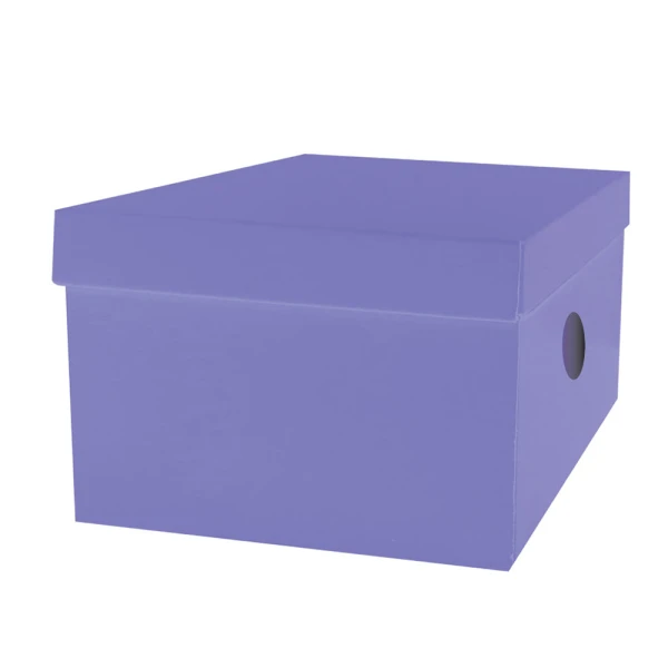 THE LITTLIES PAPER BOARD STORAGE BOX 33X24X18 cm - 6 COLOURS