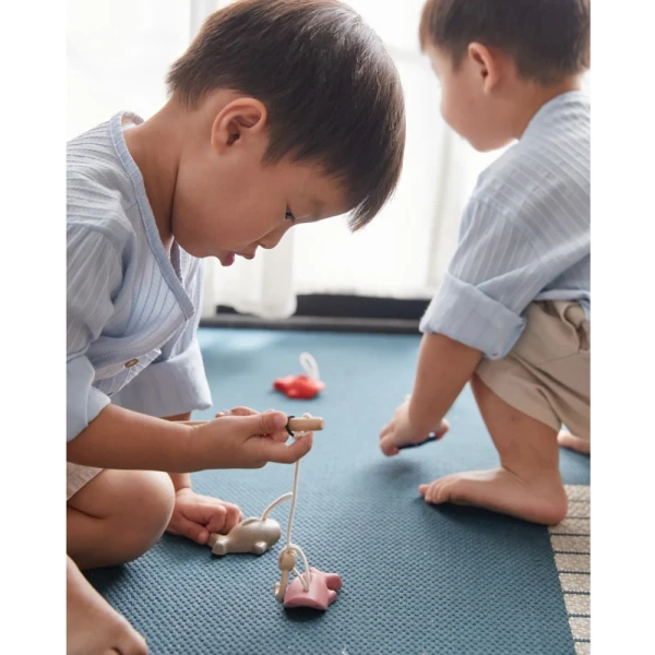 PLAN TOYS ΞΥΛΙΝΟ ΠΑΙΧΝΙΔΙ ΨΑΡΕΜΑ